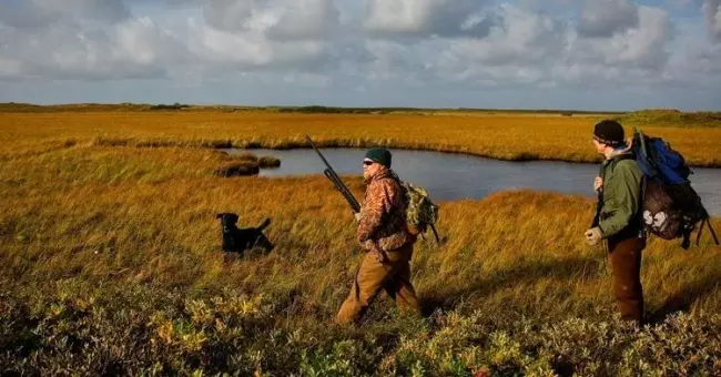 How to Prepare for Your Hunting Dog For His First Hunt 