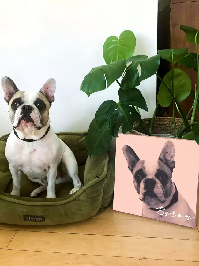canvaspop baron pet portrait