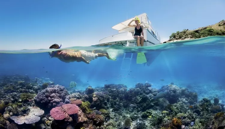 Snorkeling in the Great Barrier Reef