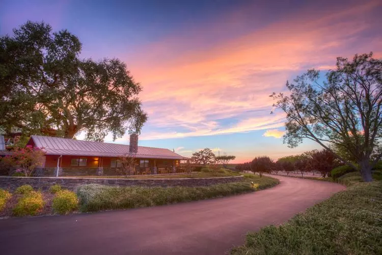 vinyard house at bianchi winery paso robles california guest house