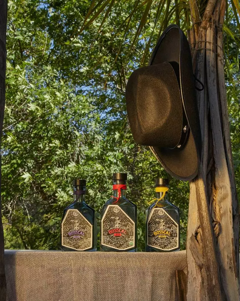 bosscal mezcal varietals