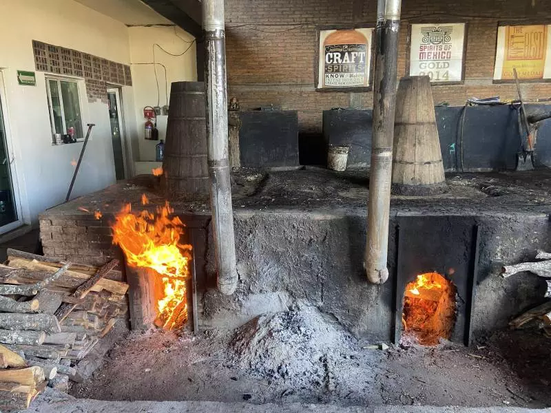 Bosscal Mezcal still