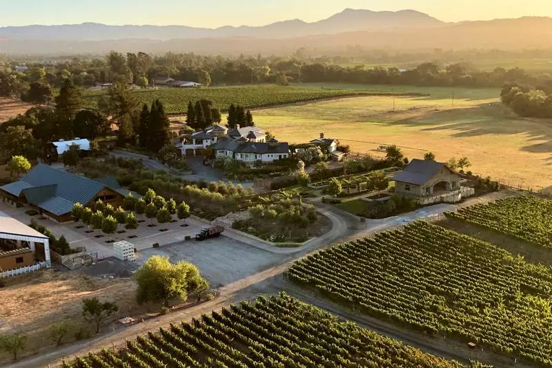Bricoleur Vineyards