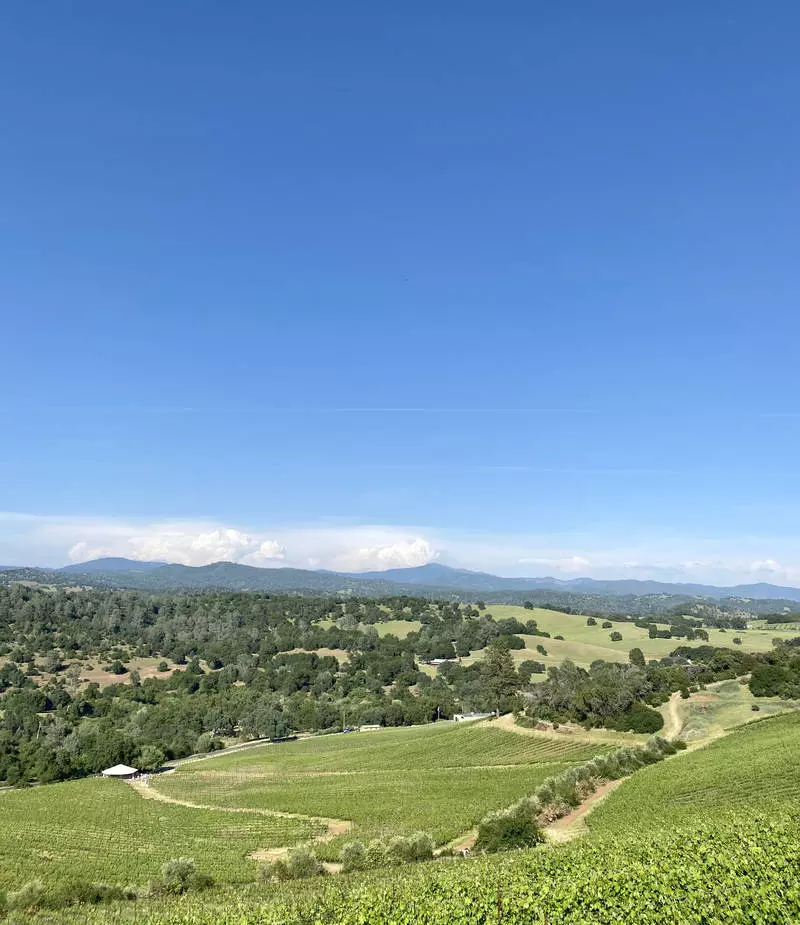 Gianelli Vineyards