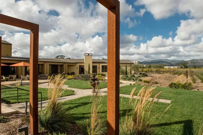 patz & hall vineyard