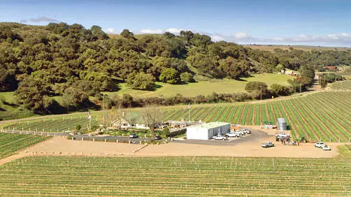 riverbench winery santa maria tasting room
