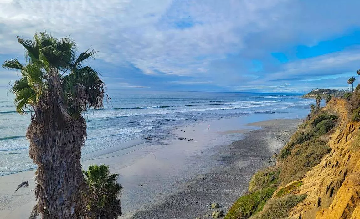 cardiff beach