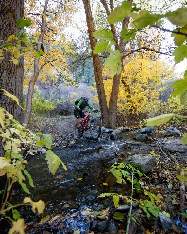 genoa canyon trail mountain biking in nevada