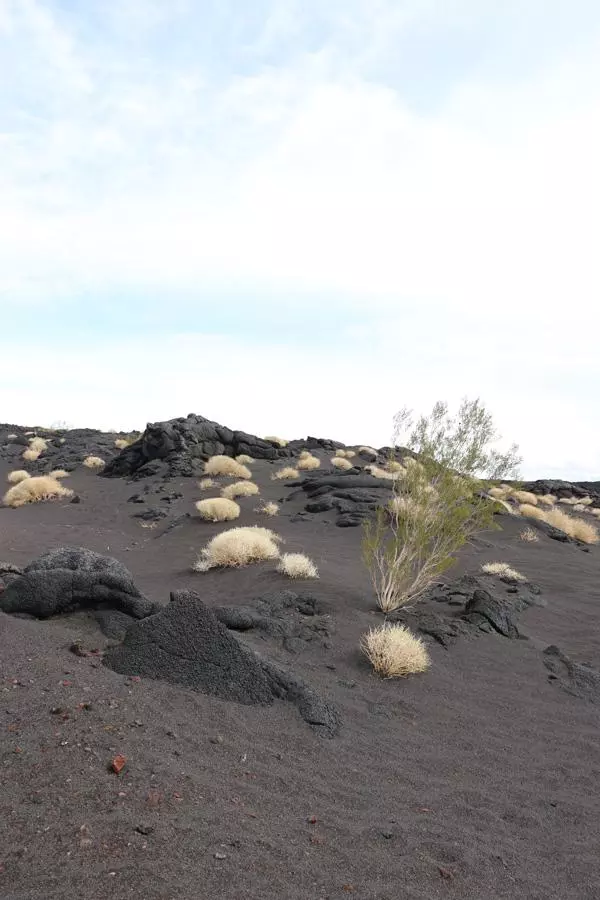 lava fields pisgah crater california