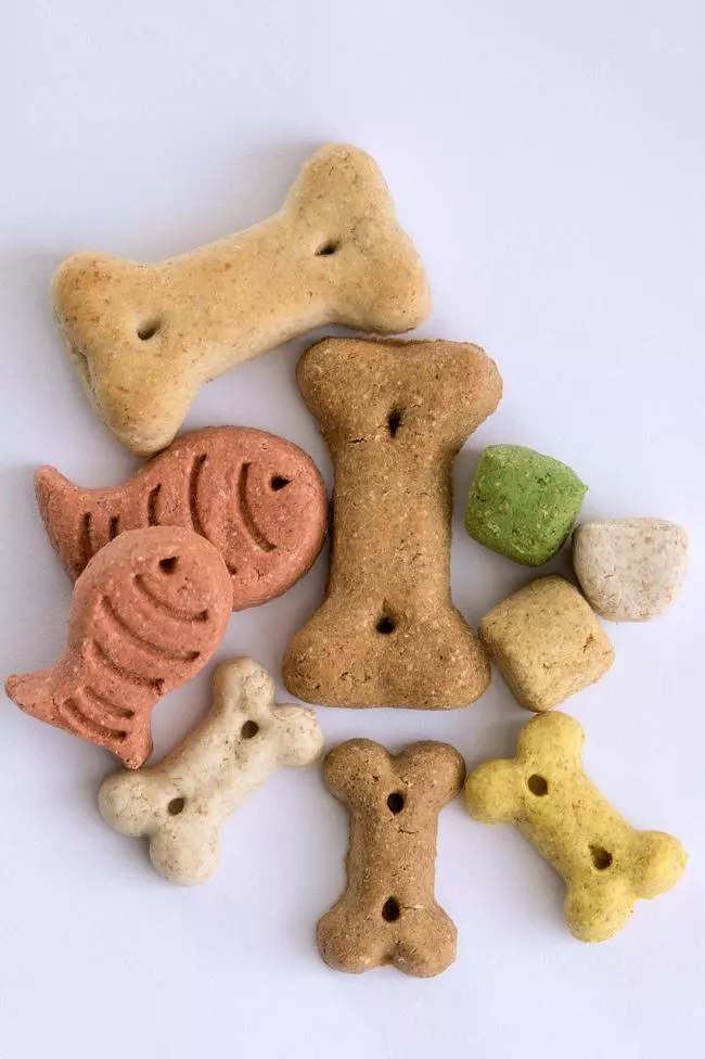 dog treats