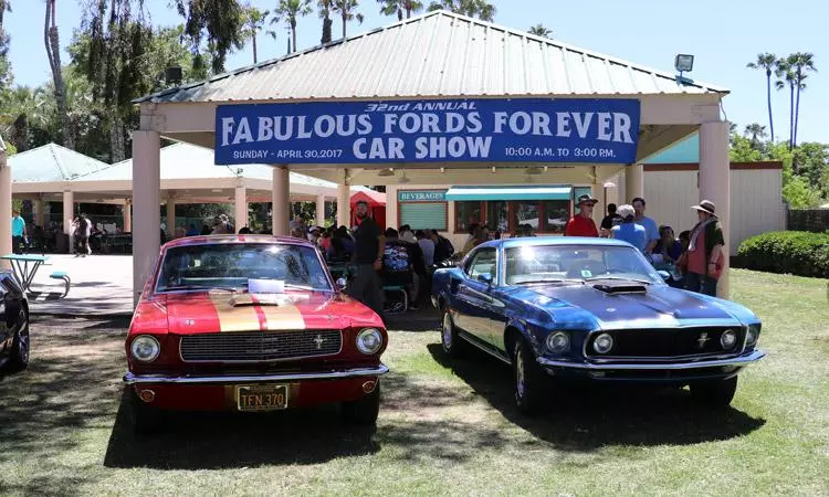 fabulous fords forever mustangs