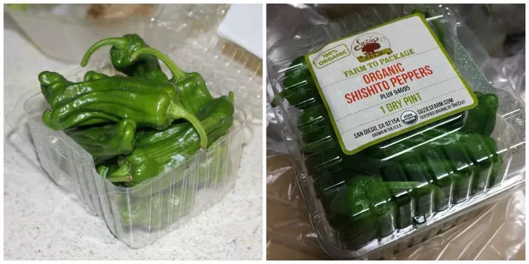 shishito peppers