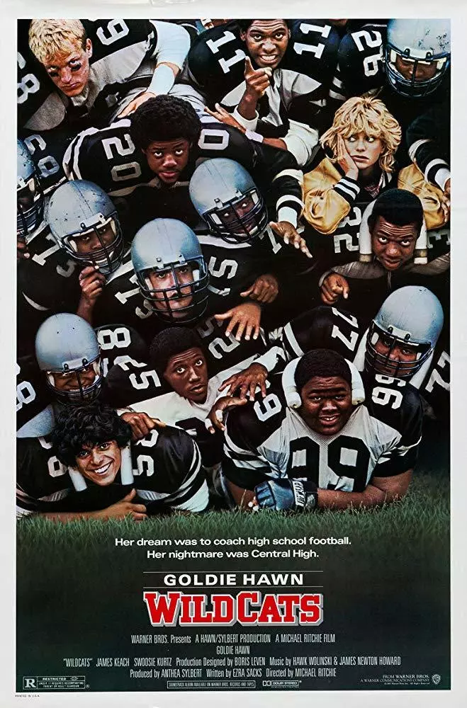wildcats football movie poster