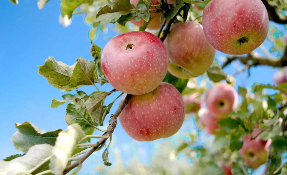 healthy habits can be quick and simple