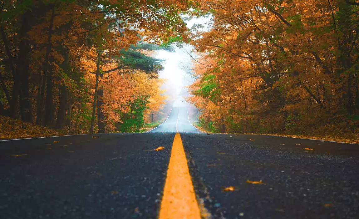 safety tips for road trips 