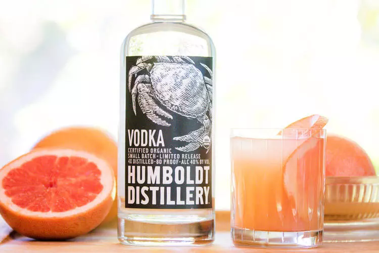 greyhound vodka cocktail recipe