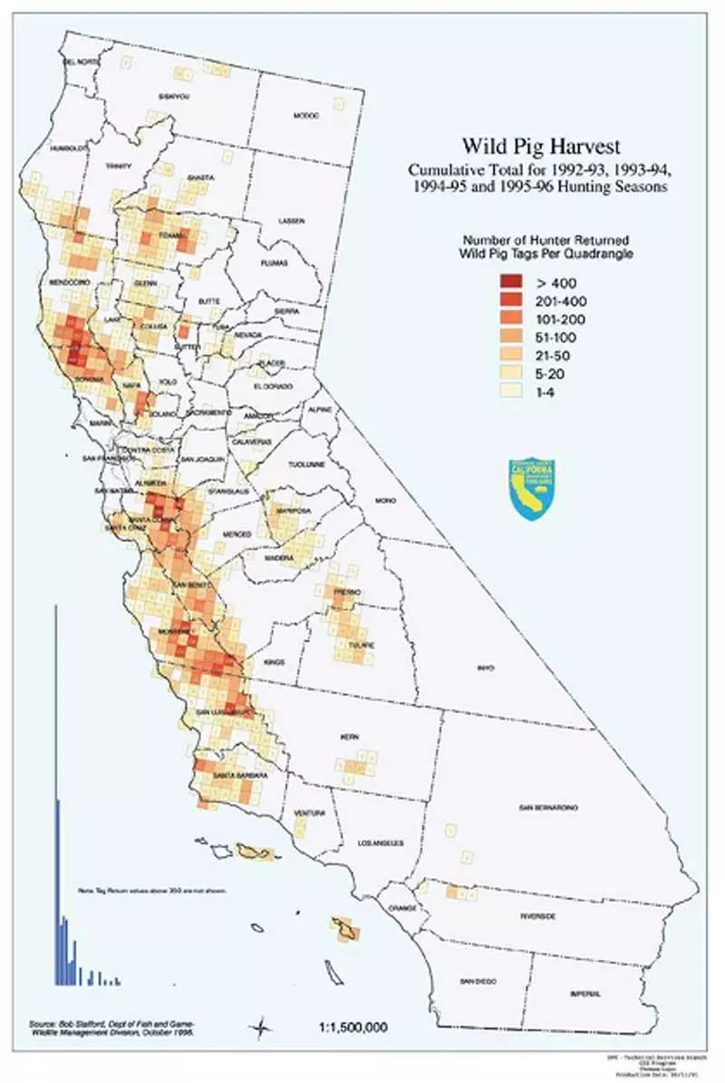 wild pig harvest numbers california wild pig tags report