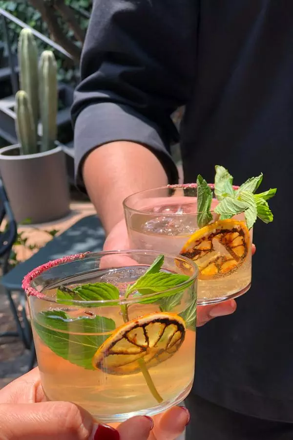 cocktail served daily at ignacia guest house mexico city