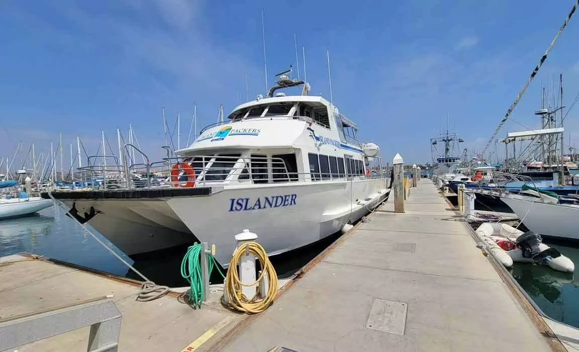 Whale watching with Island Packers cruises