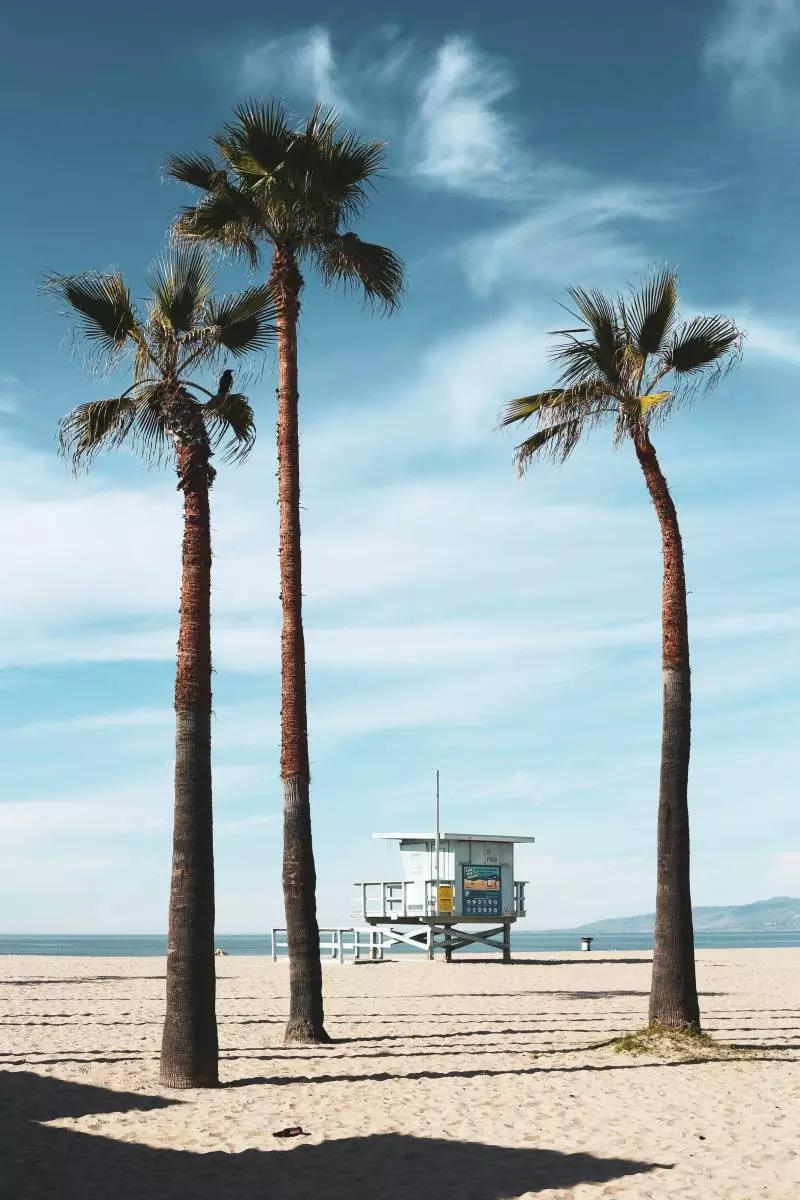 los angeles beaches