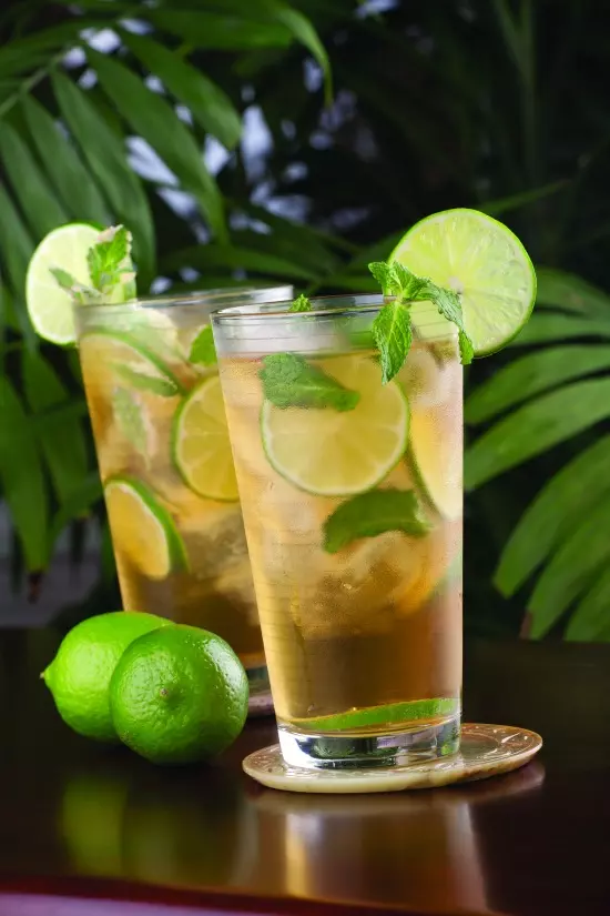 mojo rita margarita recipe