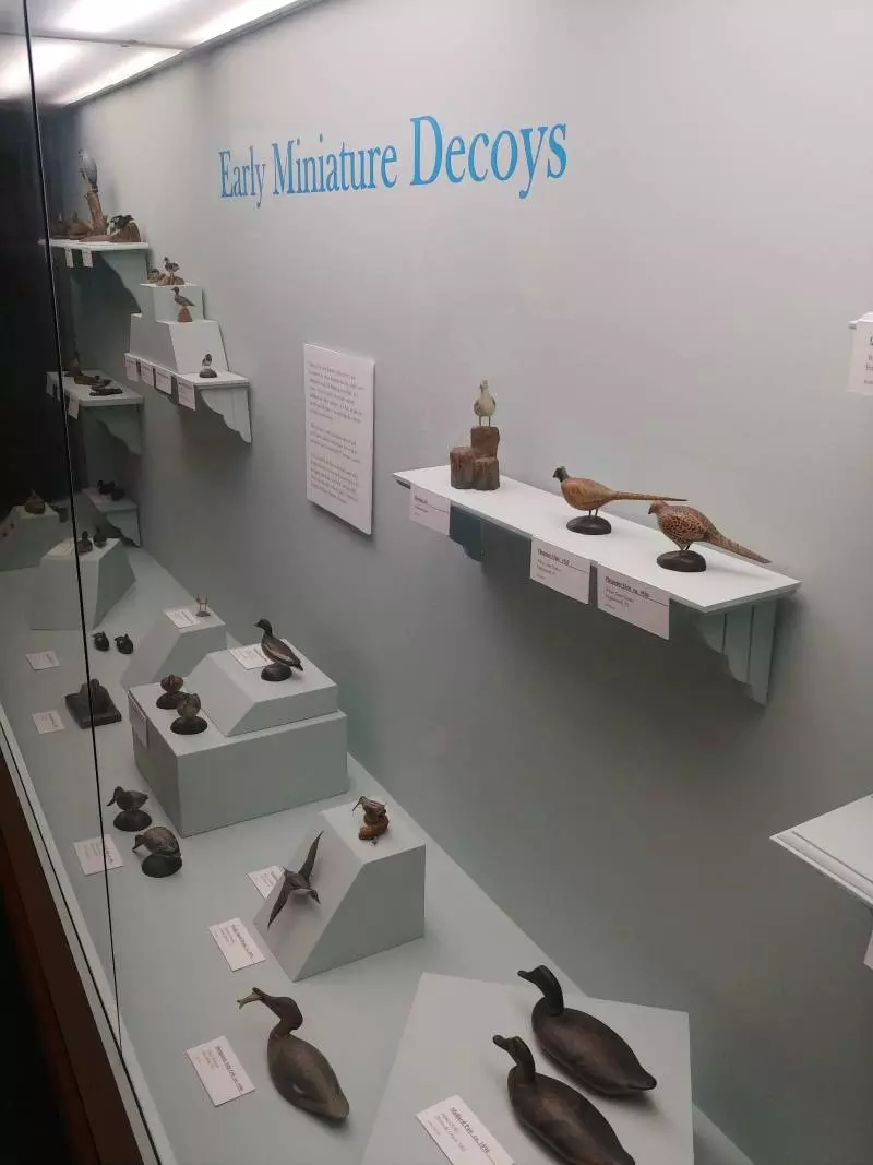 ward museum of waterfowl art in maryland easter shore