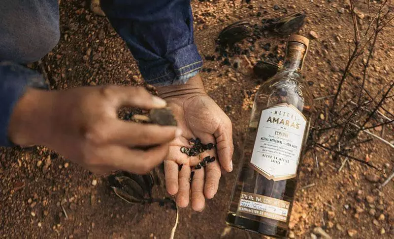 from seed to bottle