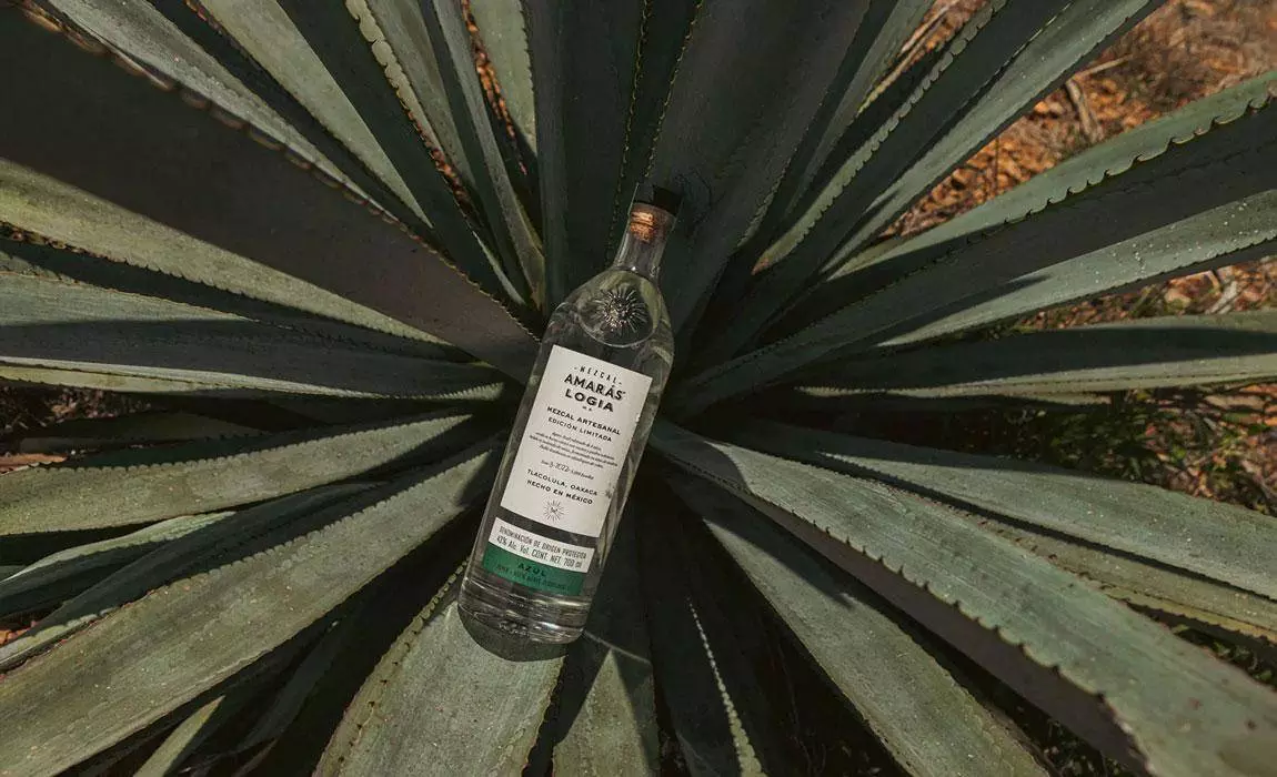 mezcal amaras 