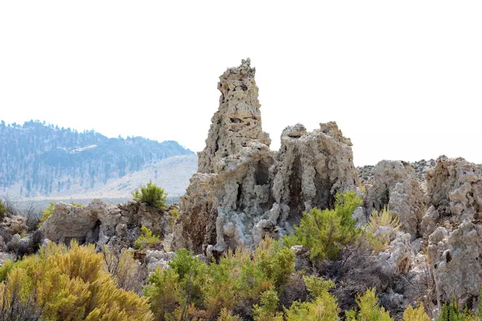 mono lake tufas