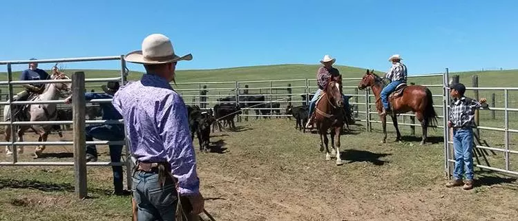 double spear ranch montana cowboy dude ranch