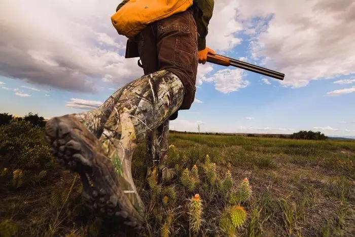 hunting in montana