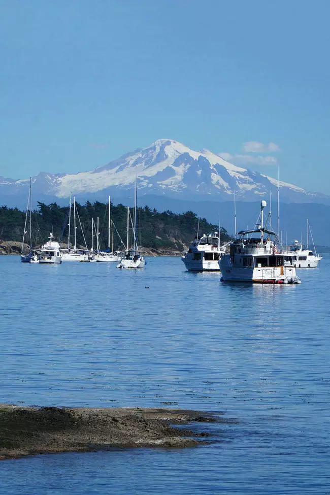 cruises exploring the salish sea puget sound in washington state