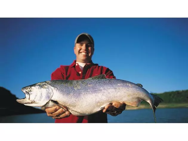 lake sakakwea walleye