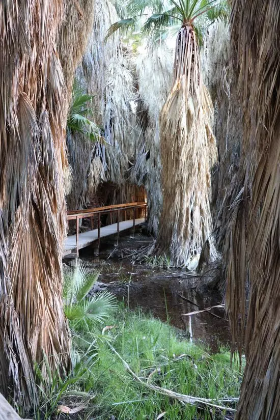 thousand palms oasis coachella valley california