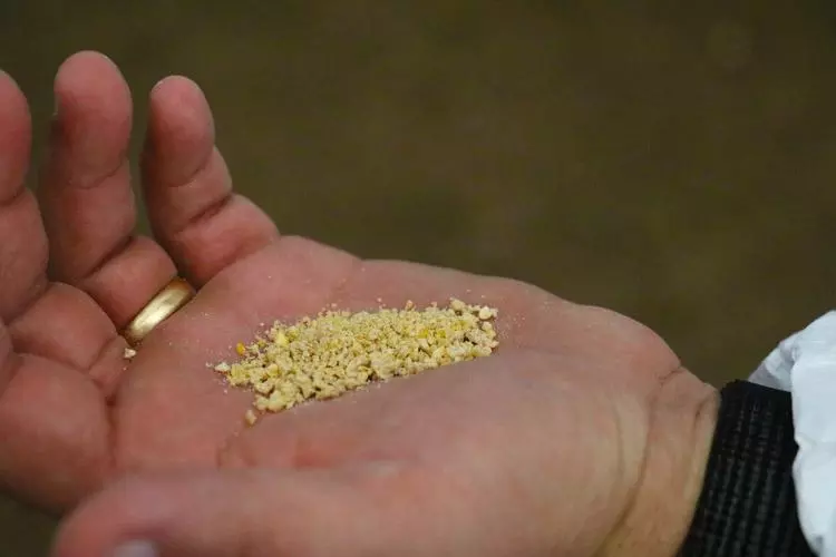 perdue farms chicken feed can be eatten by humans too