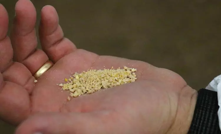 perdue farms chicken feed is human consumable