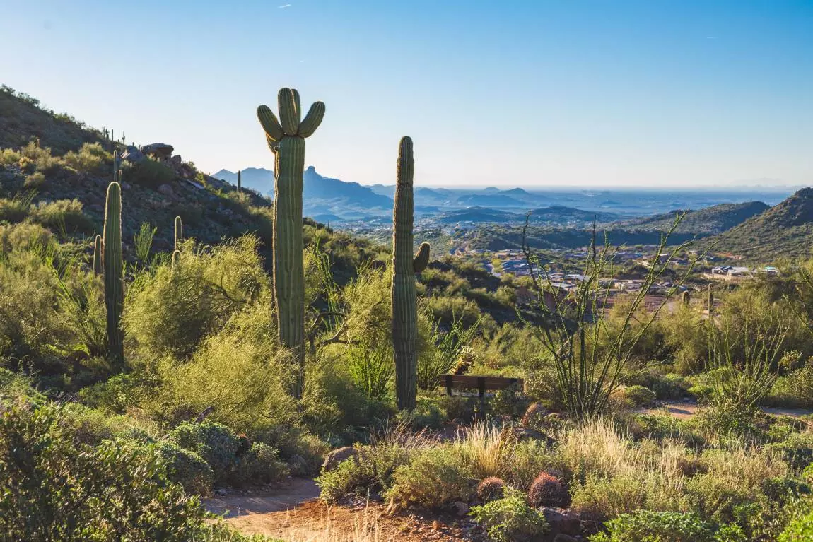 hiking in the desert - scottsdale - phoenix arizona