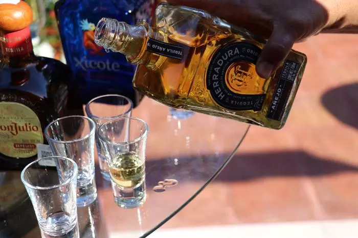 tequila tasting in puerto vallarta