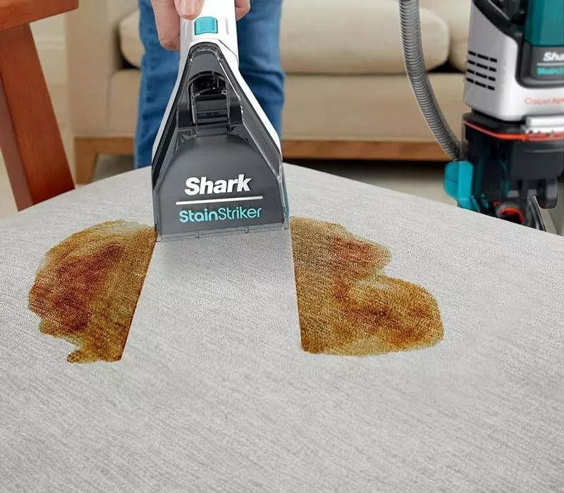 shark stainstriker tool