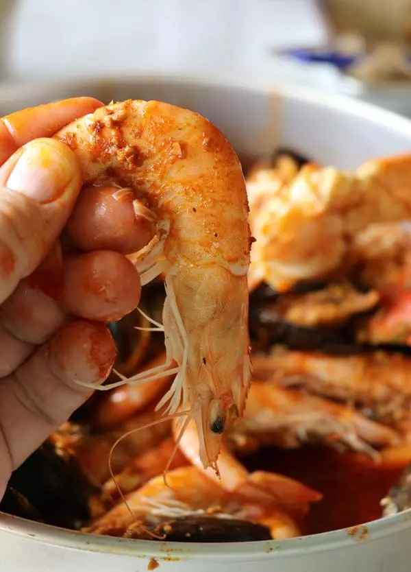shrimphead in fingers