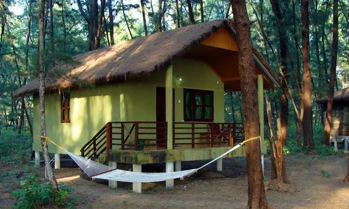 eco resort cabin with hammock