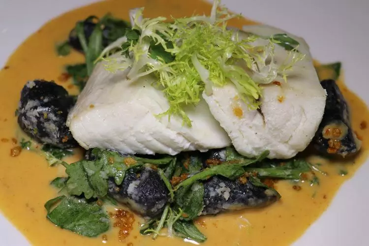 halibut
