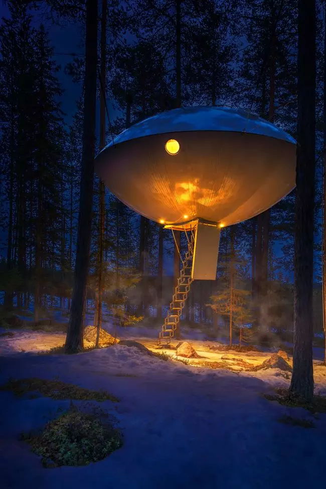 ufo treehouse at night