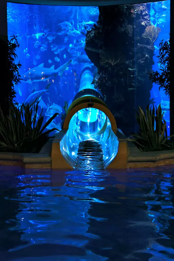 Golden Nugget Vegas - Top 10 Hotel Pools from @ManTripping