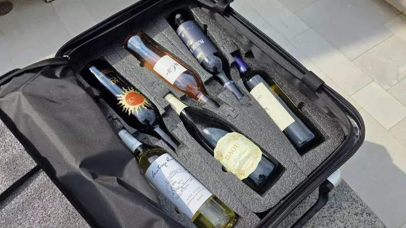 VinGuardeValise Wine Suitcase Review
