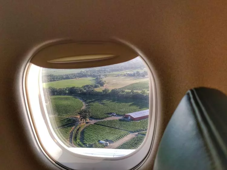 vinyards from airplane window sonoma
