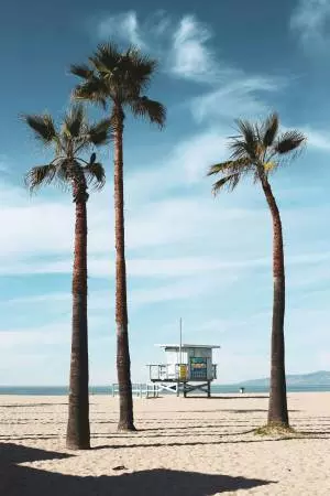 Los Angeles beach