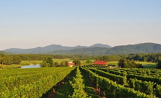 Afton Winery in Virginia is a top winery in the Monticello AVA