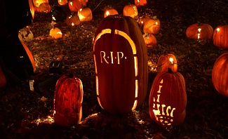 celebrate Halloween with a Virtual Pumpkin Carving Contest