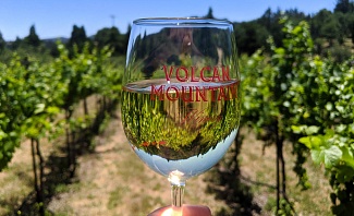 Volcan Mountain Winery - San Diego